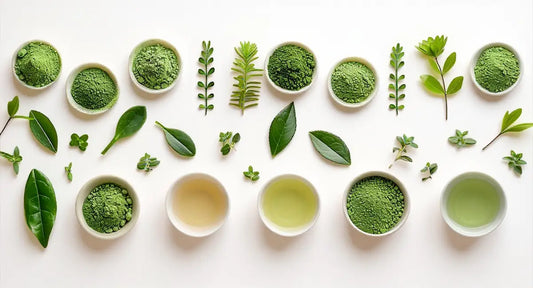 Diferencias entre matcha ceremonial, premium, diario y culinary