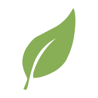 MATCHA JAPONÉS