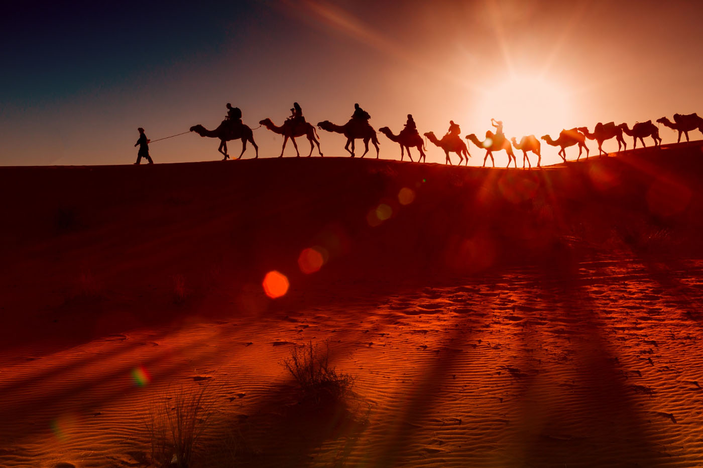 From the historic wonders of Alula to the bustling streets of Riyadh and Jeddah.